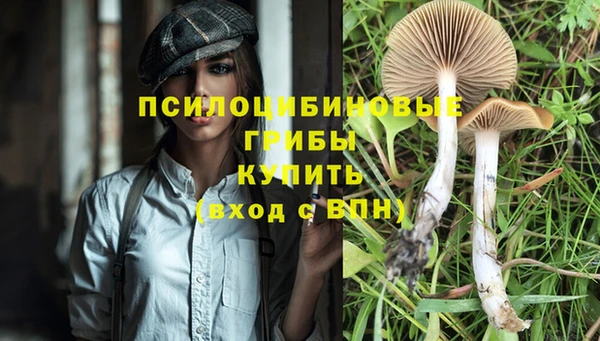 экстази Алзамай
