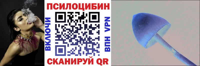 закладки  Павлово  Галлюциногенные грибы Magic Shrooms 